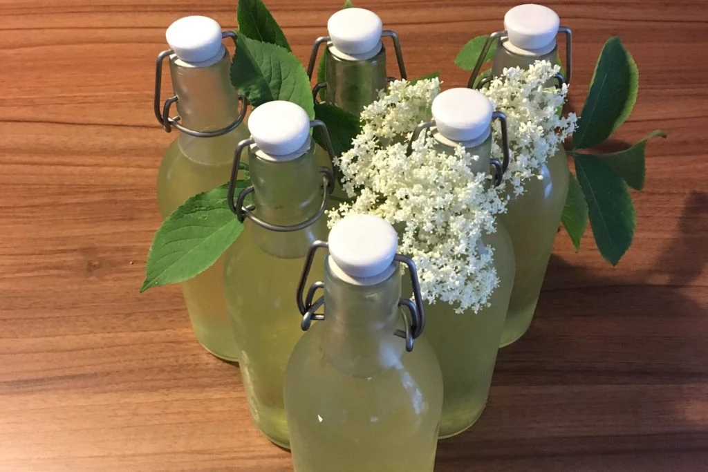 9 kroků a máte domácí bezový sirup. Vyzkoušíte recept?